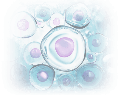 Stem Cells & Regenerative Medicine <in></in> American Hip Institute & Orthopedic Specialists