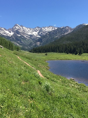 Reattaching it to the Bone - American Hip Institute & Orthopedic Specialists